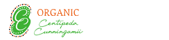 肌トラブルにはアボリジニの知恵